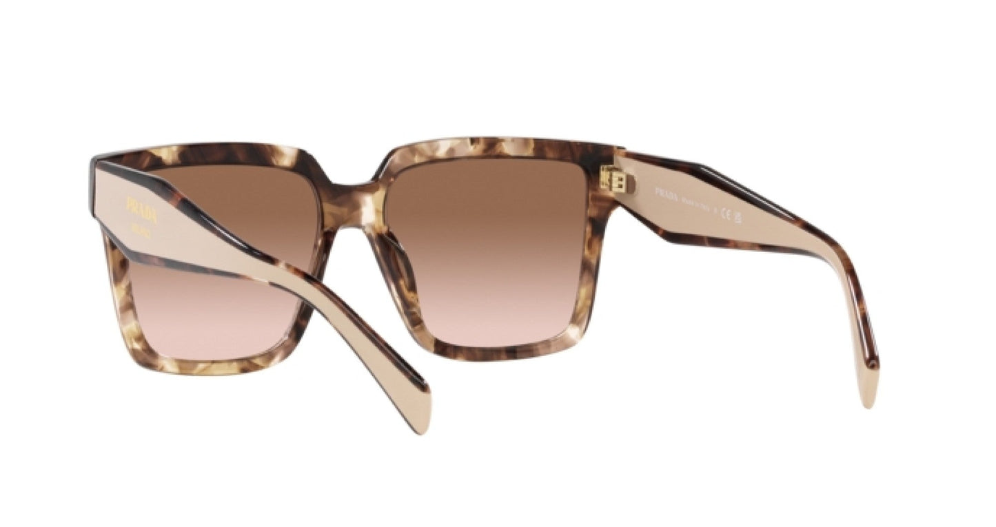 Prada PR 24ZS 07R0A6 Tortoise Oversized Sunglasses