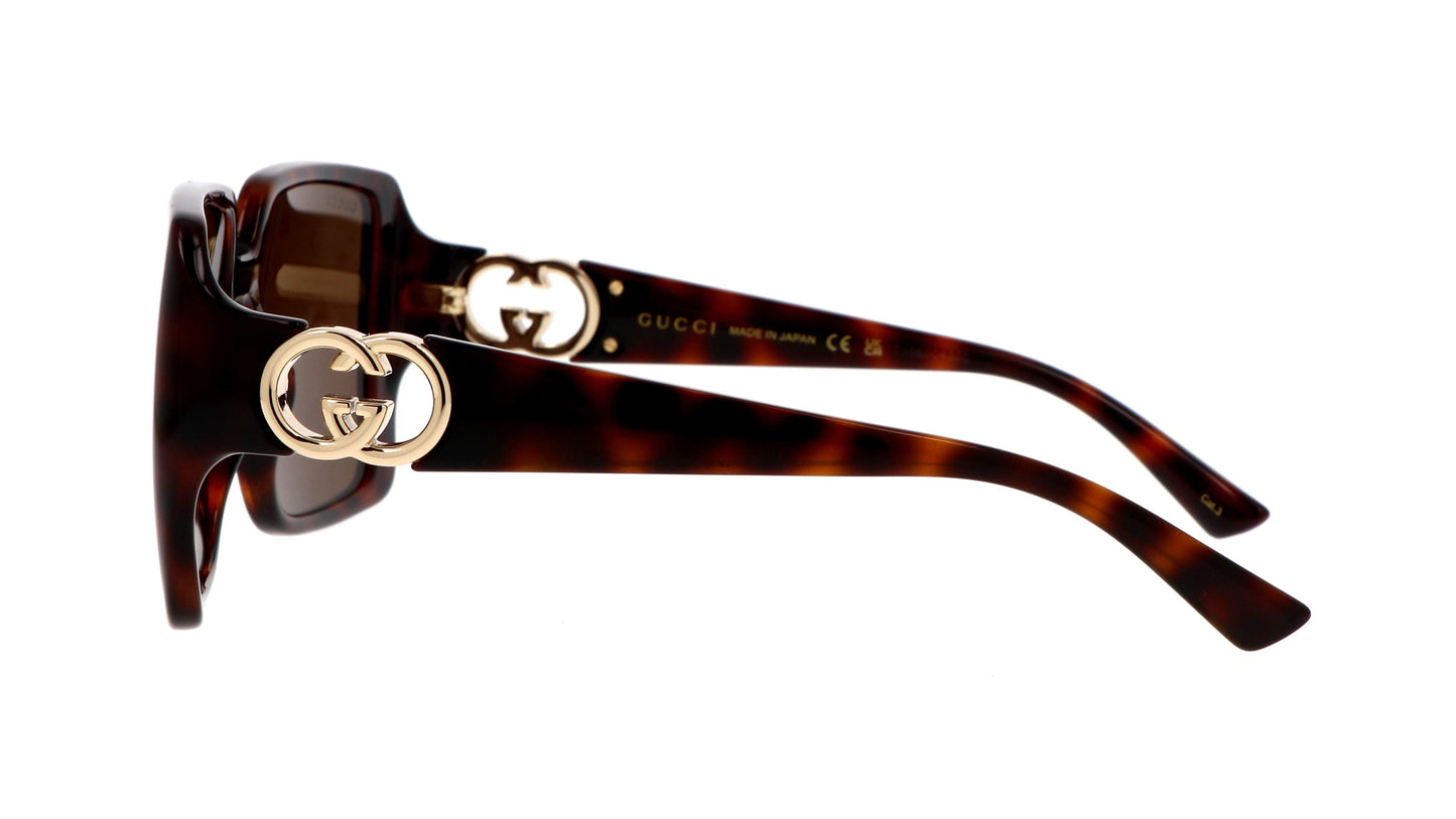 Sunglasses Gucci Gg logo GG1692S 002 54-18 Havana - ModaBlvck