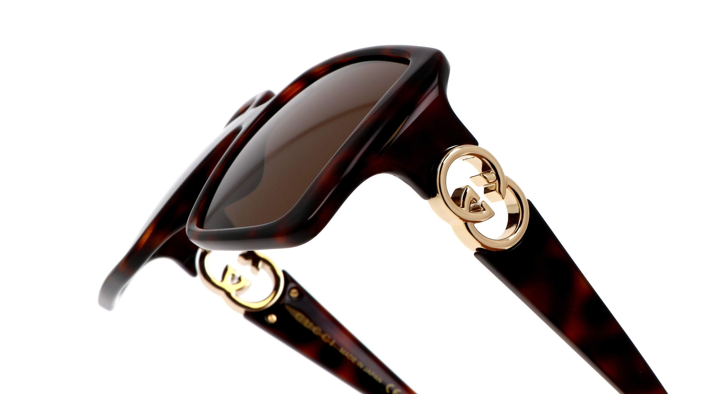 Sunglasses Gucci Gg logo GG1692S 002 54-18 Havana - ModaBlvck