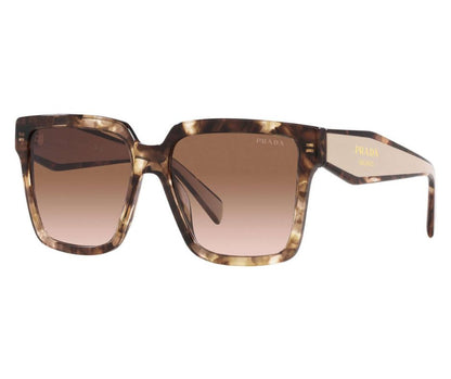 Prada PR 24ZS 07R0A6 Tortoise Oversized Sunglasses