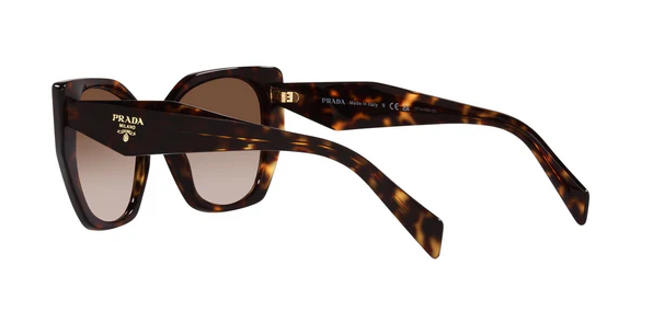 PRADA PR 19ZS 2AU6S1 Tortoise Brown Gradient 55 mm Women's Sunglasses