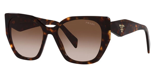 PRADA PR 19ZS 2AU6S1 Tortoise Brown Gradient 55 mm Women's Sunglasses