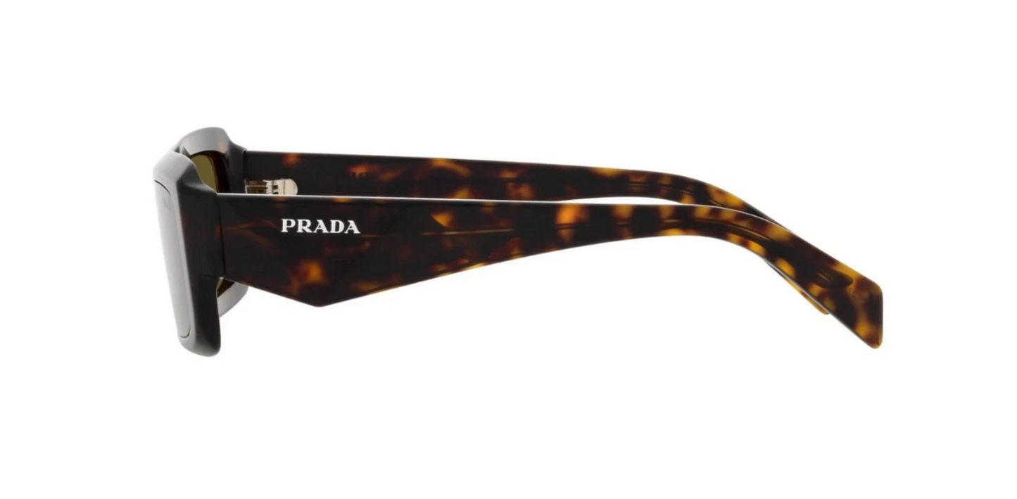 Prada PR 27ZS Tortoise/Brown Green (19J-09Z) Sunglasses