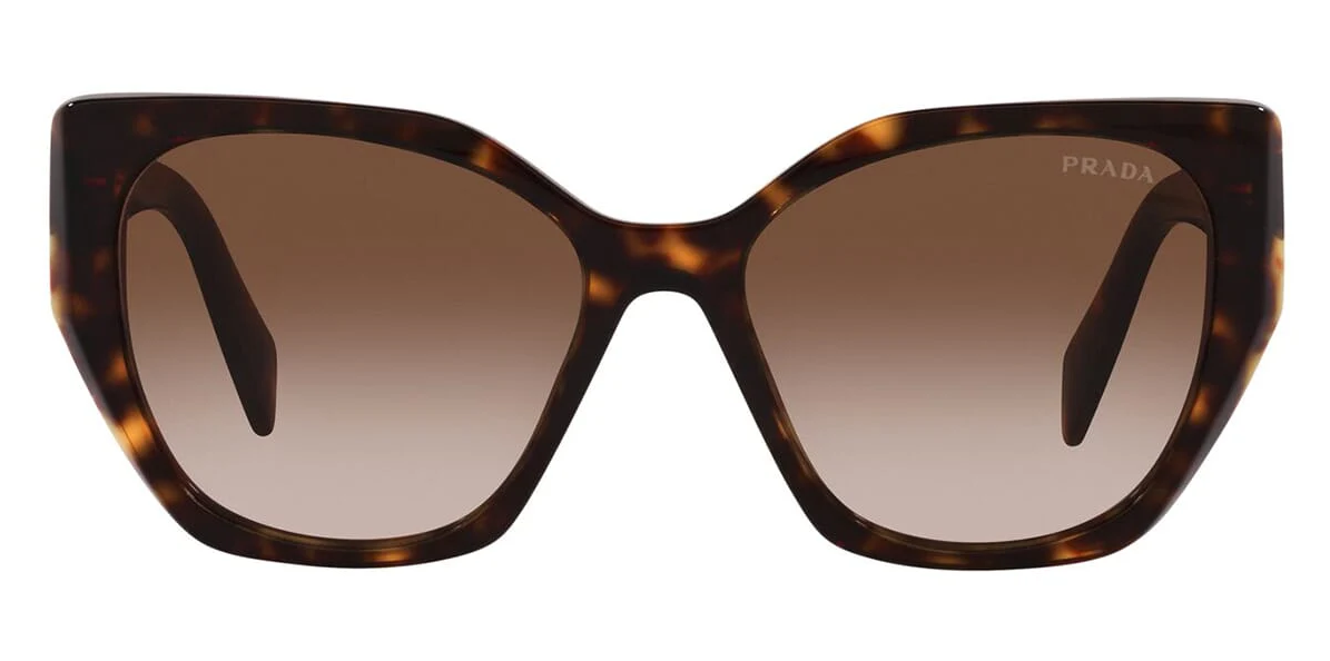 PRADA PR 19ZS 2AU6S1 Tortoise Brown Gradient 55 mm Women's Sunglasses