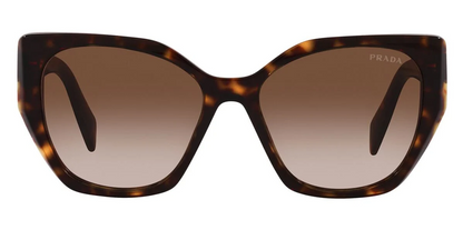PRADA PR 19ZS 2AU6S1 Tortoise Brown Gradient 55 mm Women's Sunglasses